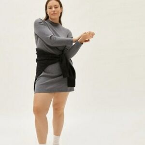 Everlane The Cotton Mockneck Dress Gray